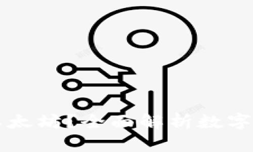 im钱包是否只能存放以太坊？全面解析数字货币钱包的功能与选择