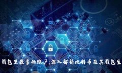 比特币钱包里最多的账户