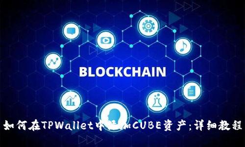 如何在TPWallet中添加CUBE资产：详细教程
