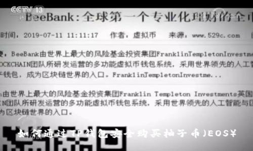如何通过TP钱包安全购买柚子币（EOS）