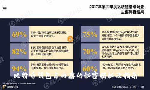 比特币钱包占内存的秘密揭秘及指南