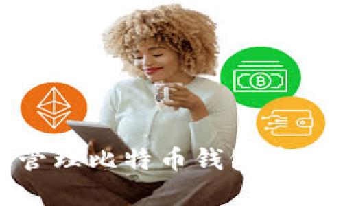 如何有效管理比特币钱包中的节点删减