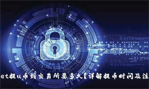 tpwallet提u币到交易所要多久？详解提币时间及注意事项