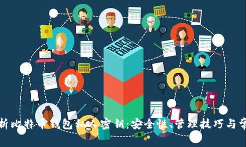 全面解析比特币钱包私人密钥：安全性、管理技巧与常见问题