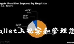 如何在TPWallet上观察和管理