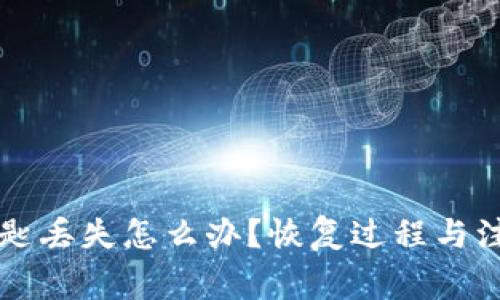 TPWallet钥匙丢失怎么办？恢复过程与注意事项详解