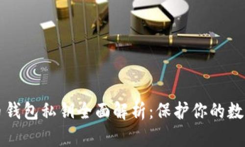 比特币钱包私钥全面解析：保护你的数字资产