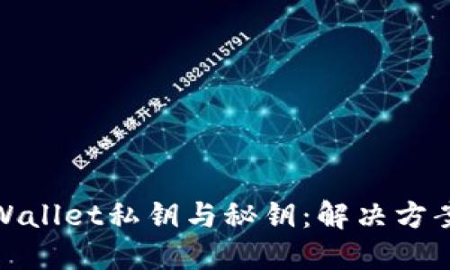 如何找回TPWallet私钥与秘钥：解决方案与预防措施