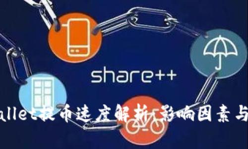 TPWallet提币速度解析：影响因素与策略