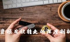 TPWallet投资项目被转走的深
