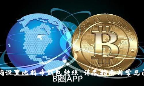如何正确设置比特币钱包转账：详尽指南与常见问题解答