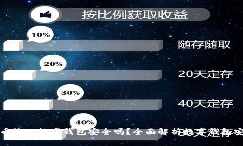 比特币放入数字钱包安全吗？全面解析数字钱包安全性