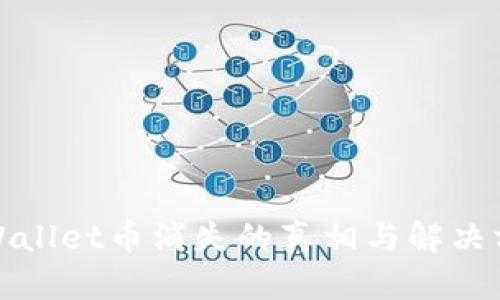 TPWallet币消失的真相与解决方案