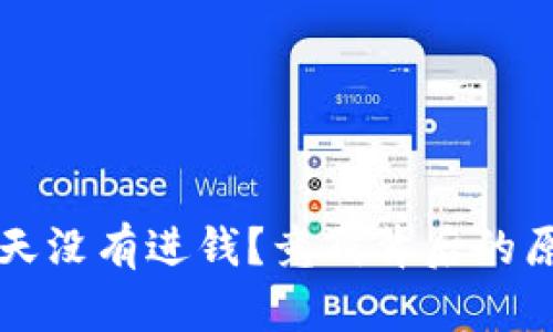 比特币钱包今天没有进钱？竞猜背后的原因与解决方案