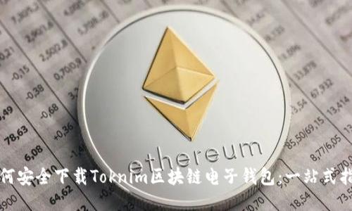 如何安全下载Toknim区块链电子钱包：一站式指南